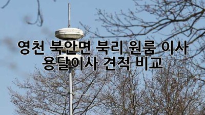 영천 북안면 북리 원룸 이사 용달이사 견적 비교