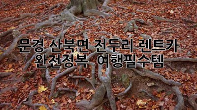 문경 산북면 전두리 렌트카 완전정복! 🚗💨 #여행필수템