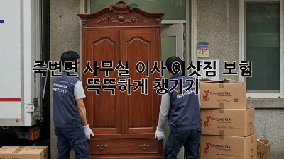 죽변면 사무실 이사, 이삿짐 보험 똑똑하게 챙기기 🏢🛡️
